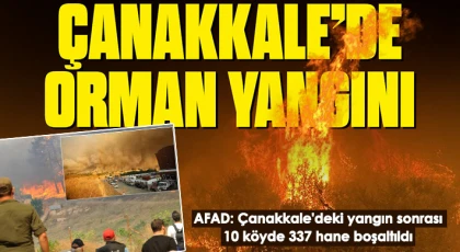  AFAD: Bölgedeki 10 köyde 337 hane, bin 104 kişi tedbir amaçlı tahliye edilmiştir