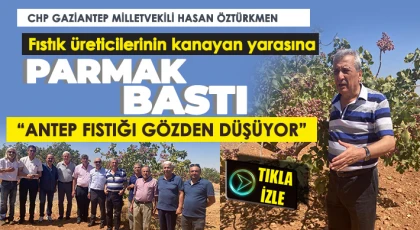 Antep fıstığına taban fiyat verilmeli, TMO alım yapmalı