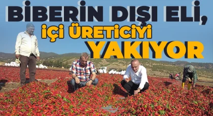 Biberin dışı eli, içi üreticiyi yakıyor