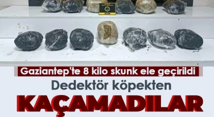 Dedektör köpekten kaçamadılar