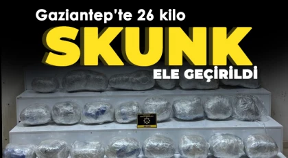 Gaziantep’te 26 kilo skunk ele geçirildi