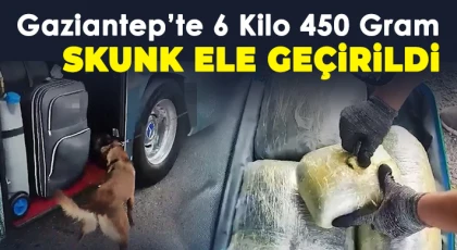 Gaziantep’te 6 kilo 450 gram skunk ele geçirildi