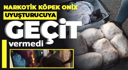  Gaziantep'te 6 kilo skunk ele geçirildi