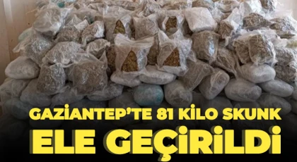 Gaziantep’te 81 kilo skunk ele geçirildi