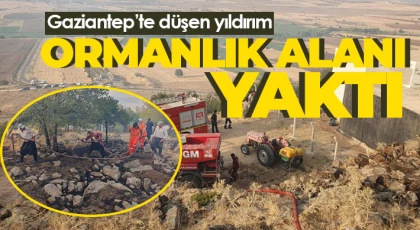 Gaziantep’te düşen yıldırım ormanlık alanı yaktı
