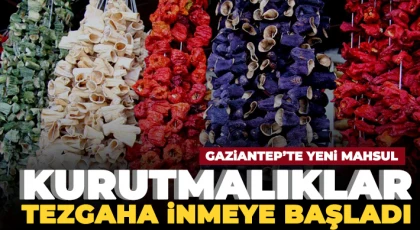 Gaziantep’te yeni mahsul kurutmalıklar tezgaha inmeye başladı