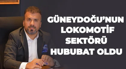 Güneydoğu’nun lokomotif sektörü hububat oldu