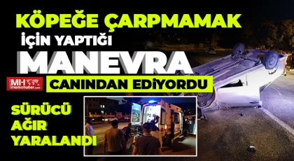 Köpeğe çarpmamak için yaptığı manevra canından ediyordu