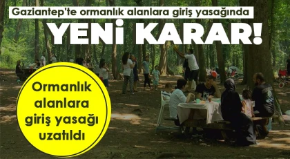 Orman yangınlarını önlemek için yeni karar 
