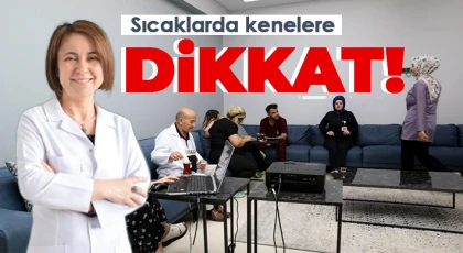Sıcaklarda kenelere dikkat!