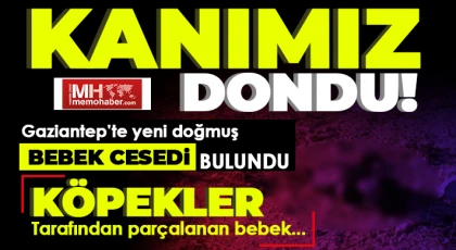 Vicdanları sızlatan olay: Köpekler tarafından parçalanmış bebek cesedi bulundu