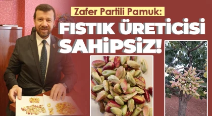 Zafer Partili Pamuk: Fıstık üreticisi sahipsiz!
