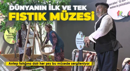 Fıstığın başkenti Gaziantep’te fıstığın tarihine yolculuk