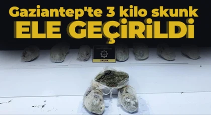 Gaziantep'te 3 kilo skunk ele geçirildi