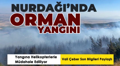 Nurdağı’nda Orman Yangını