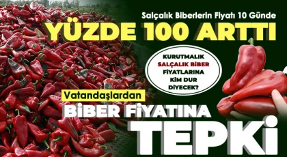 Salçalık biberlerin fiyatı 10 günde yüzde 100 arttı