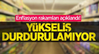 Aylık enflasyon yüzde 4,75 olarak gerçekleşti