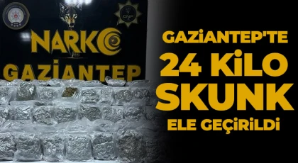 Gaziantep'te 24 kilo skunk ele geçirildi