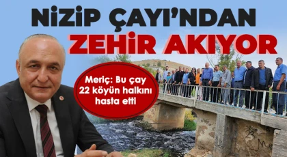 Nizip Çayı’ndan zehir akıyor