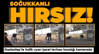 Pes dedirten hırsızlık saniye saniye kamerada