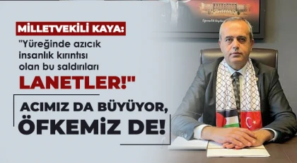 Yüreğinde azıcık insanlık kırıntısı olan bu saldırıları lanetler!