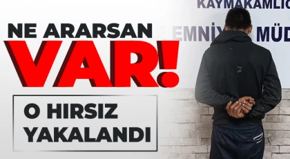 Elektrikli bisiklet ve oto hırsızı yakalandı