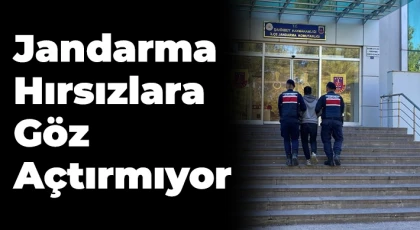 Gaziantep Jandarma hırsızlara göz açtırmıyor