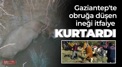 Gaziantep'te obruğa düşen ineği itfaiye kurtardı