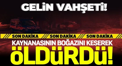 Gelin ve kaynana arasında çıkan tartışma cinayetle bitti