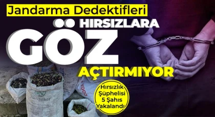 Jandarma ekipleri hırsızlara göz açtırmıyor