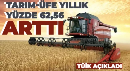 Tarım ürünleri üretici fiyat endeksi yıllık yüzde 62,56 arttı