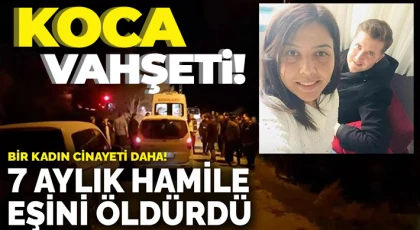 Hamile eşini bıçaklayarak öldürdü, otomobilini uçuruma sürerek intihara kalkıştı