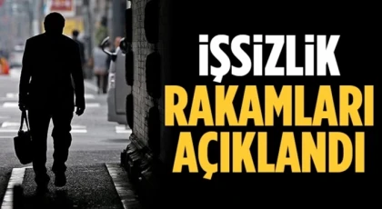 İşsizlik oranı 0,5 puan azalarak yüzde 8,5 seviyesinde gerçekleşti