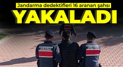 Jandarma dedektifleri 16 aranan şahsı yakaladı