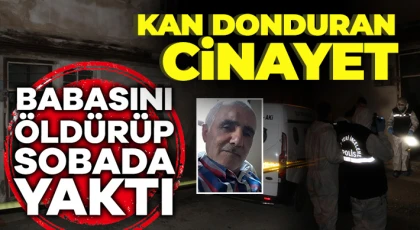 Kan donduran cinayet: Babasını öldürüp sobada yaktı
