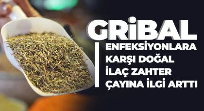 Kış aylarının vazgeçilmez içeceği zahter çayı siyah çaya rakip oldu