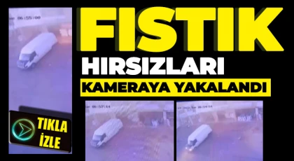 Nizip’te hırsızlık anı kameralara yansıdı
