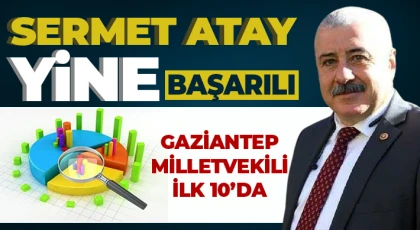 Sermet Atay farkı