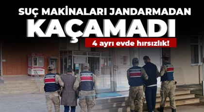 4 ayrı evde hırsızlık yapan 2 şüpheli jandarmadan kaçamadı