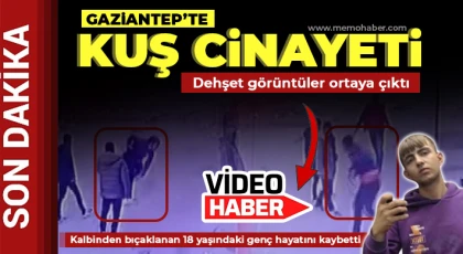 Cinayetle sonlanan kuş kavgasının görüntüsü ortaya çıktı