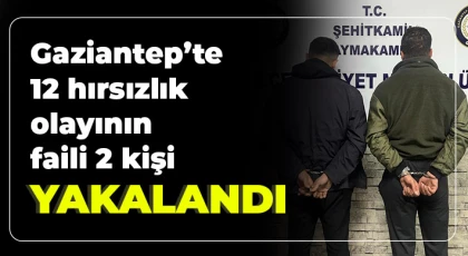 Hırsızlar 120 saatlik kamera kayıtlarının incelenmesi sonucu yakalandı