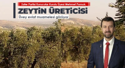 Pamuk: Zeytin üreticisi üvey evlat muamelesi görüyor