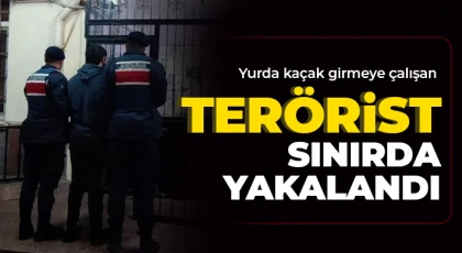 Yurda kaçak girmeye çalışan terörist sınırda yakalandı