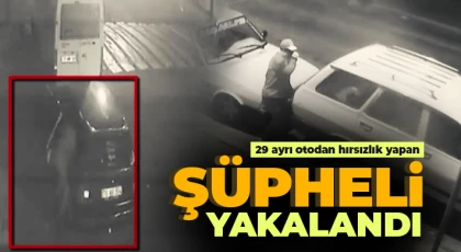 29 ayrı otodan hırsızlık yapan şüpheli yakalandı