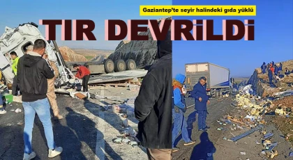 Gaziantep-Şanlıurfa karayolunda gıda yüklü tır yoldan çıktı