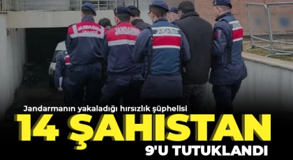  Jandarmanın yakaladığı hırsızlık şüphelisi 14 şahıstan 9'u tutuklandı
