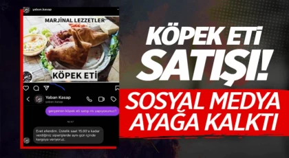 Köpek eti satışı iddiasında gerçek ortaya çıktı