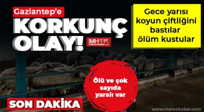 Gaziantep'te vahşet! Koyun çiftliği kan gölüne döndü!