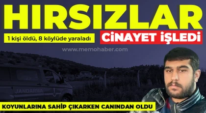 Hırsızlar çiftlik sahibini öldürdü