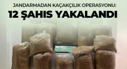 Jandarmadan kaçakçılık operasyonu: 12 şahıs yakalandı